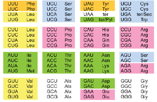 genetic_code_origin